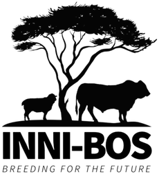 Inni-Bos – Breeding for the future